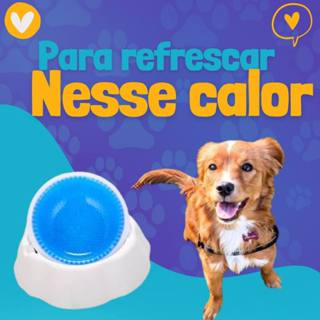 Tigela Água Fria Gelada P/caes Gatos Bebedouro Pet 970ml
