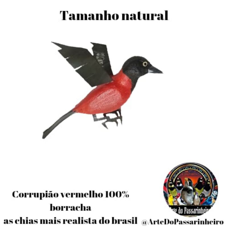 Corrupiao Vermelho: Onde Comprar | BuscaProdutos