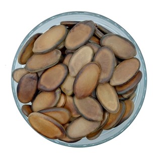100 Sementes de guapuruvu (Schizolobium parahyba) Arvore Nativa