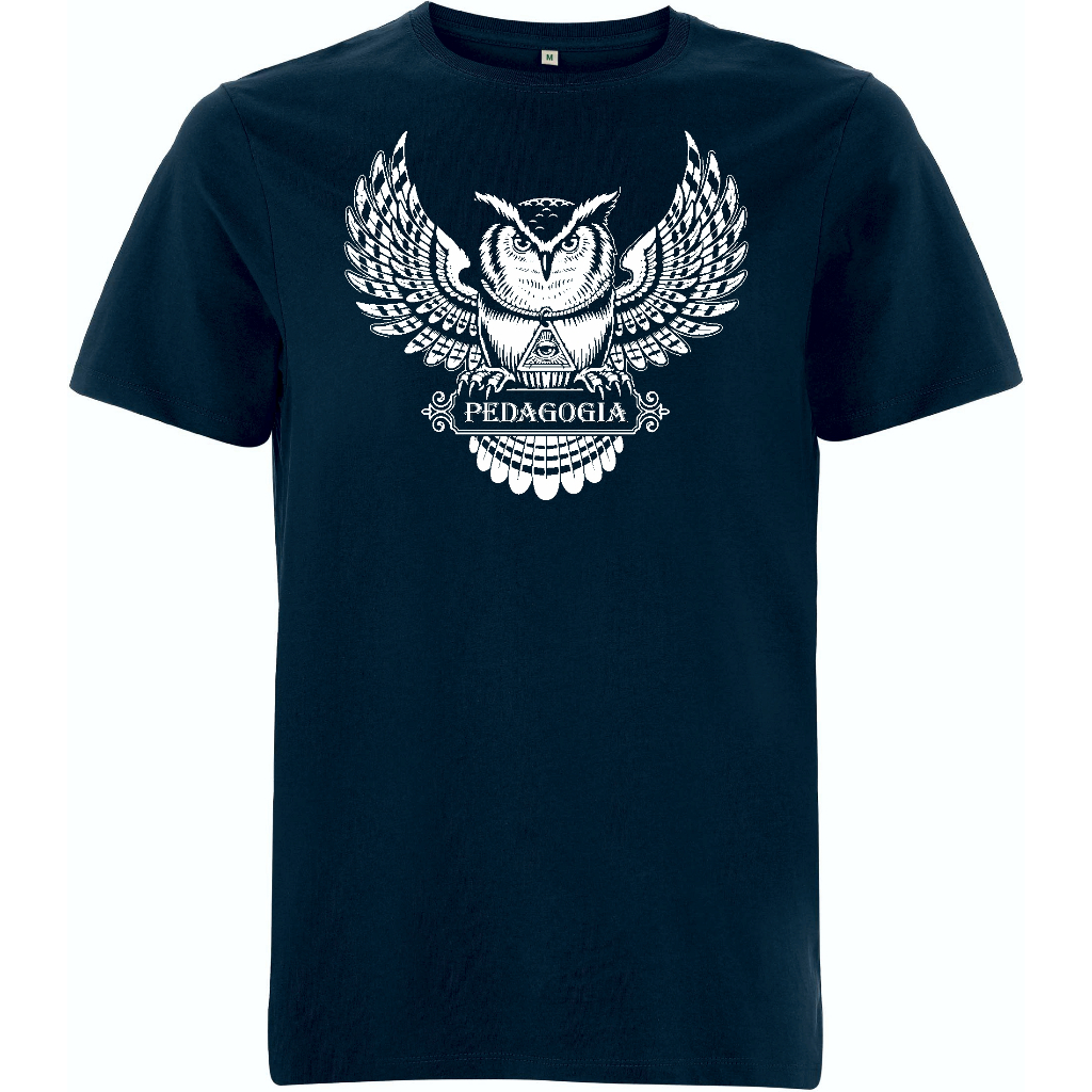 Camiseta Curso Pedagogia,masculina,profissional dedicado ao ensino,100% algodão