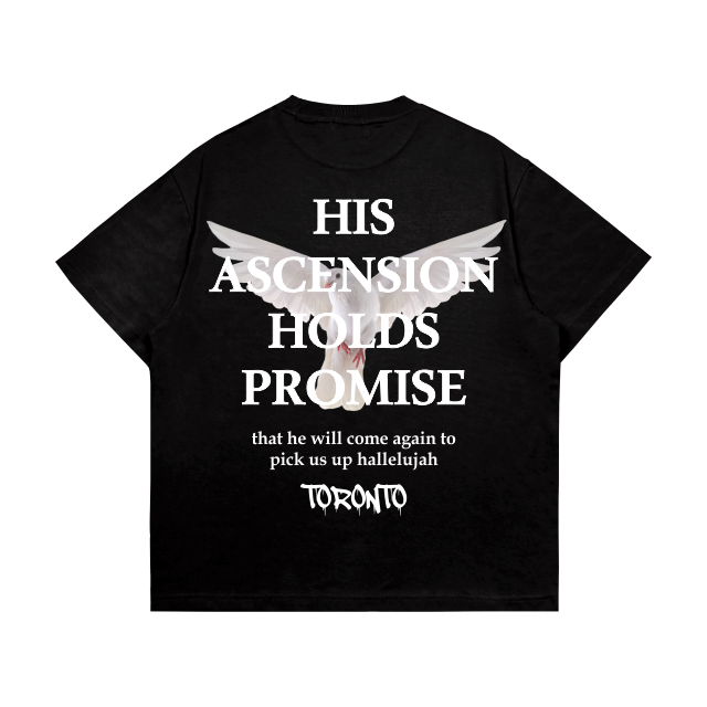 Camiseta OVERSIZED estampada blusa camisa Streetwear em algodão 30.1 modelo Pomba Ascension Premium OVERSIZED