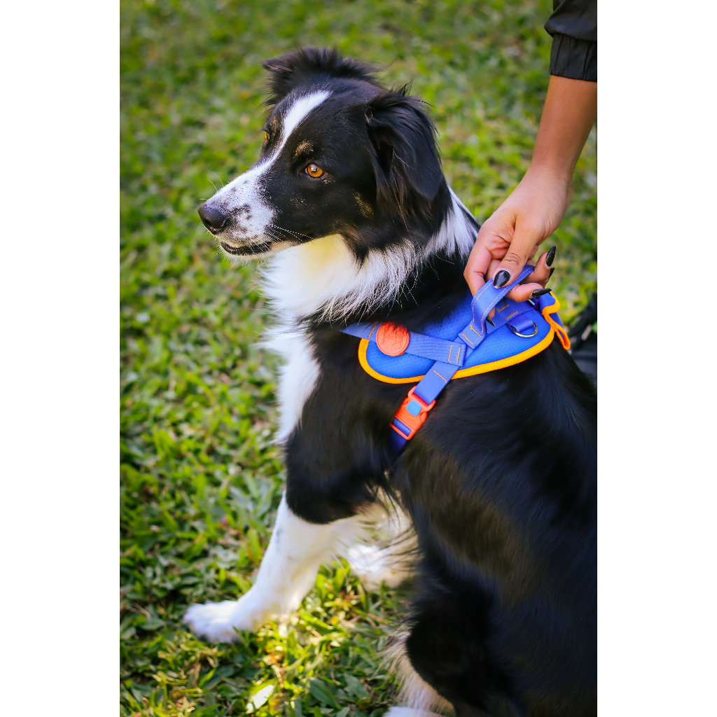 Peitoral NEW SAFE para Cachorro Caes PET, com bolsinha porta rolinho CATA CACA - Original MeuAuAu