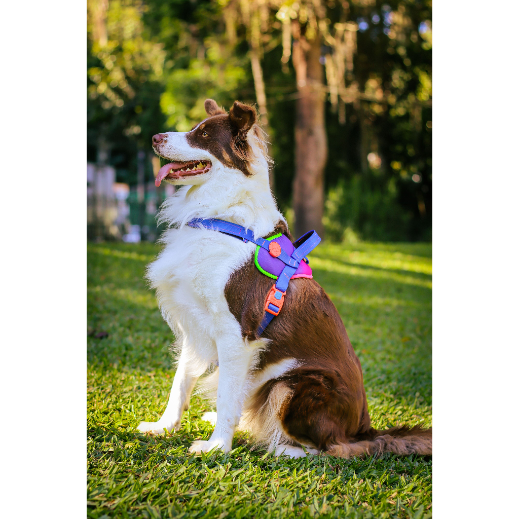 Peitoral NEW SAFE para Cachorro Caes PET, com bolsinha porta rolinho CATA CACA - Original MeuAuAu