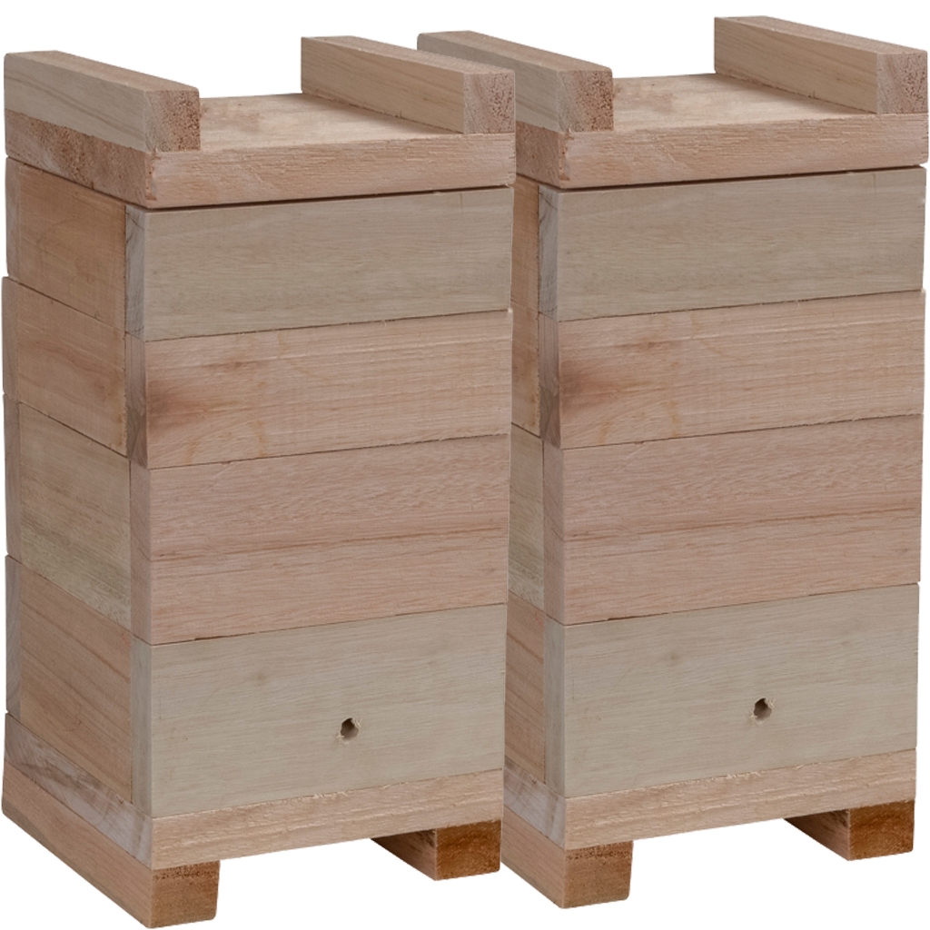 Kit 2 Caixa Para Abelhas 12X12  Medida Interna Eucalipto , Jataí, Mirim, Sem Ferrão Com 2 Melgueiras Modelo Inpa madeira 2 cm espeçura