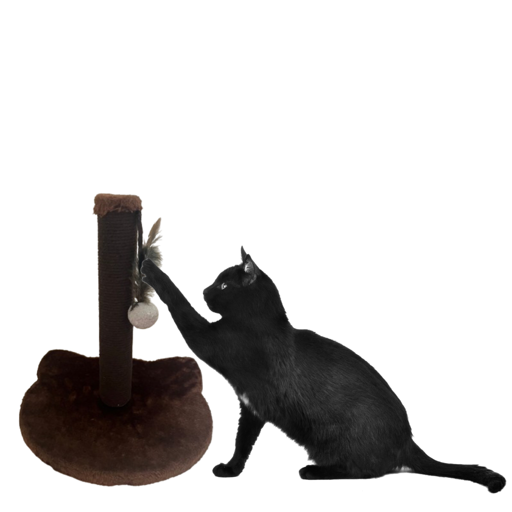 Brinquedo Arranhador Cara de Gato Marrom