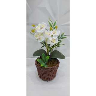 Arranjo Orquideas Mini Planta Artificial Decorativa Vaso em Oferta na Shopee