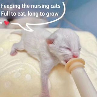 1 Bico Alimentador Pet Bico com Seringa Alimentador Mamilo Valor Unitário em Oferta na Shopee