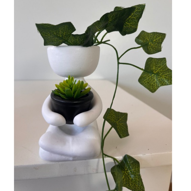 Vaso Para suculentas e Cactos Mini Robert Plant Decorativo. Venda Unidade