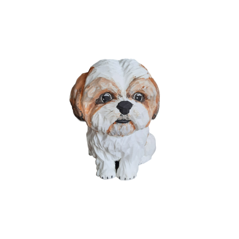 Shih Tzu Macho: Guia Completo e Onde Comprar | BuscaProdutos