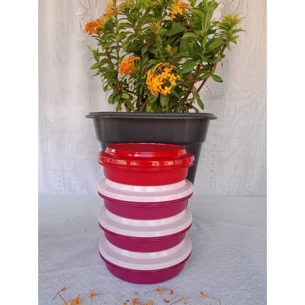 TUPPERWARE TRAV REDONDA ACTUALI LILAS TAMPA ROSA E VERMELHA 500ML