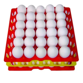 Porta Ovo Cartela Plástica Para 30 ovos Bandeja Higiênica em Oferta na Shopee