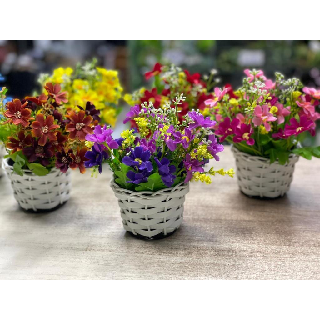 Arranjo Flores do Campo: Onde Comprar | BuscaProdutos