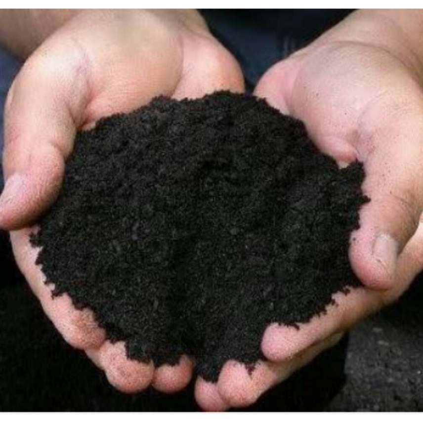 Terra Vegetal 5 kg - Ph7 - Composto de Orgânicos Para Plantas Flores Suculentas Hortas em Oferta na Shopee