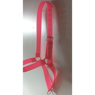 cabrestos de fita personalizado para vacas bois touros com nome personalizado bordado leilões
