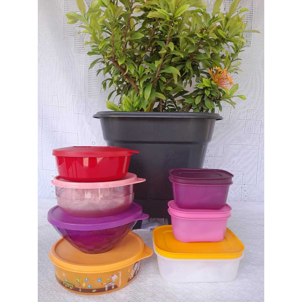 TUPPERWARE PRISMS BOWL 500ML,TIGELA PREMIER 500ML TAMPA ROSA policarbonato TIGELA ILUMINA 350ML BABY SAFARI 500ML,