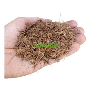 Fibra De Coco Misto (médio) 50 Litros Substrato Amafibra em Oferta na Shopee