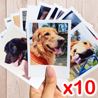 Revelar Fotos POLAROIT (10 unidades) em Oferta na Shopee