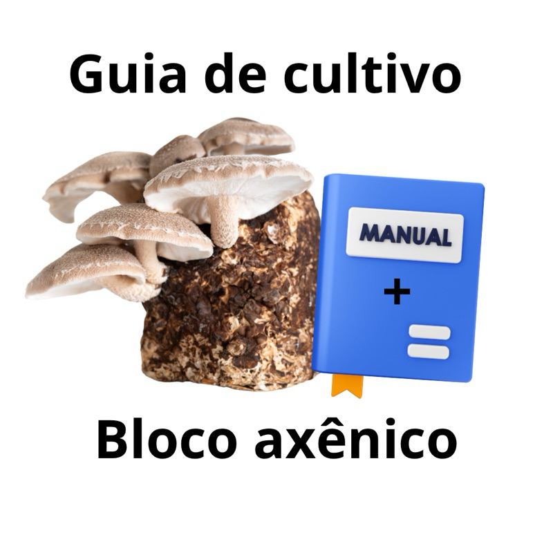 Guia de Fungicultura para Aprender Cultivar + 1 Bloco Axênico TESTE de Produtor
