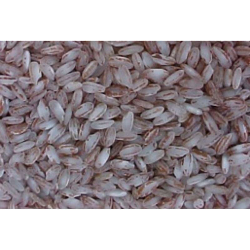 Arroz Vermelho 1 Kg: Onde Comprar | BuscaProdutos