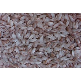 Arroz Vermelho da Terra Nordestino Pacote de 1.KG