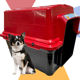 Casinha Para Cachorro Inverno Verão Duas Opções Para o Conforto do seu Pet Aberto Para Dias Quentes e Fechado Para Dias Frios