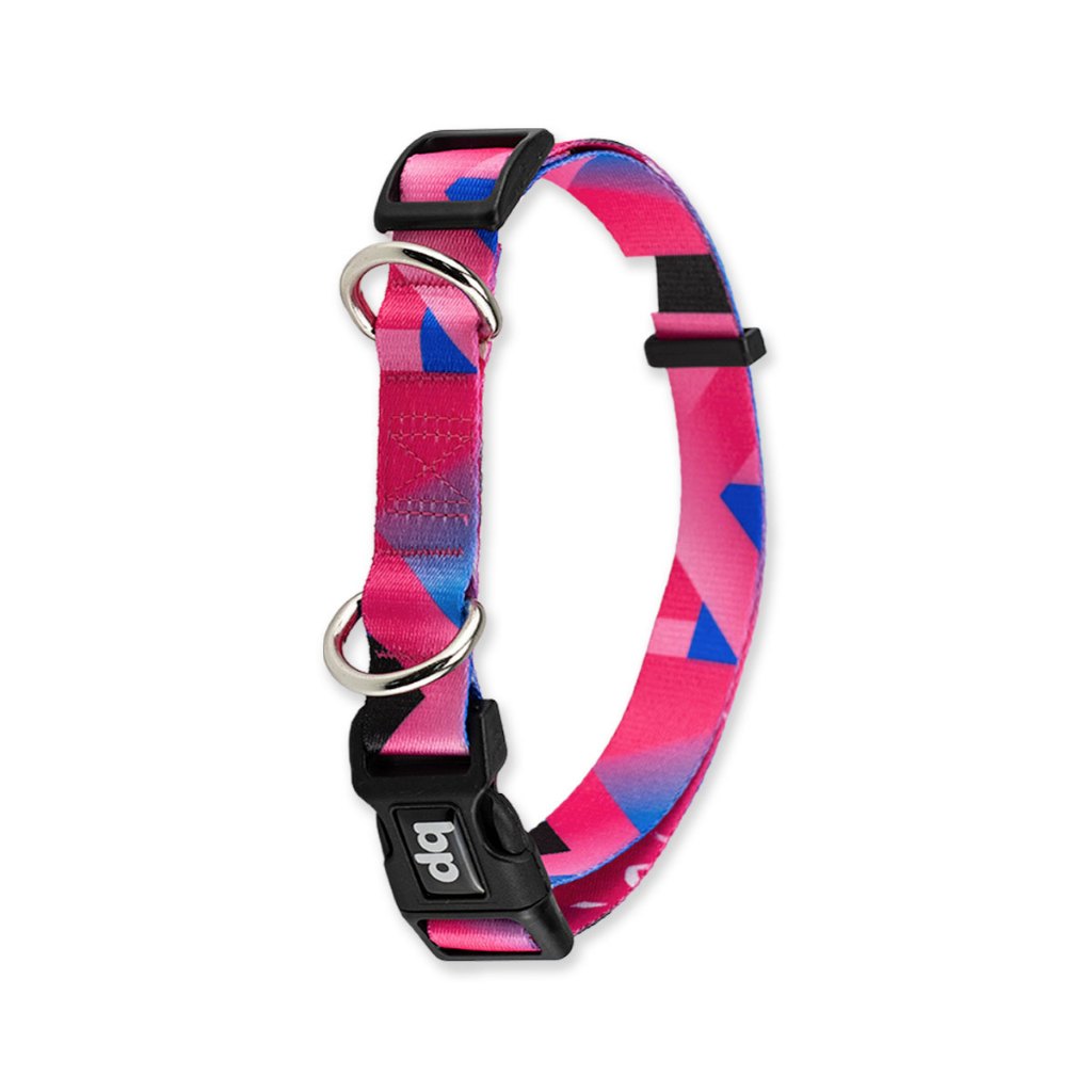 Coleira para Cachorros Basic Pet Lawn