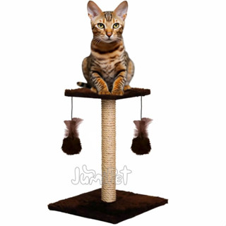 Arranhador Grande Para Gatos Poste Com Brinquedos Duplo Produto Premium