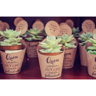50 rótulos + 50 tags para mini suculentas em Oferta na Shopee