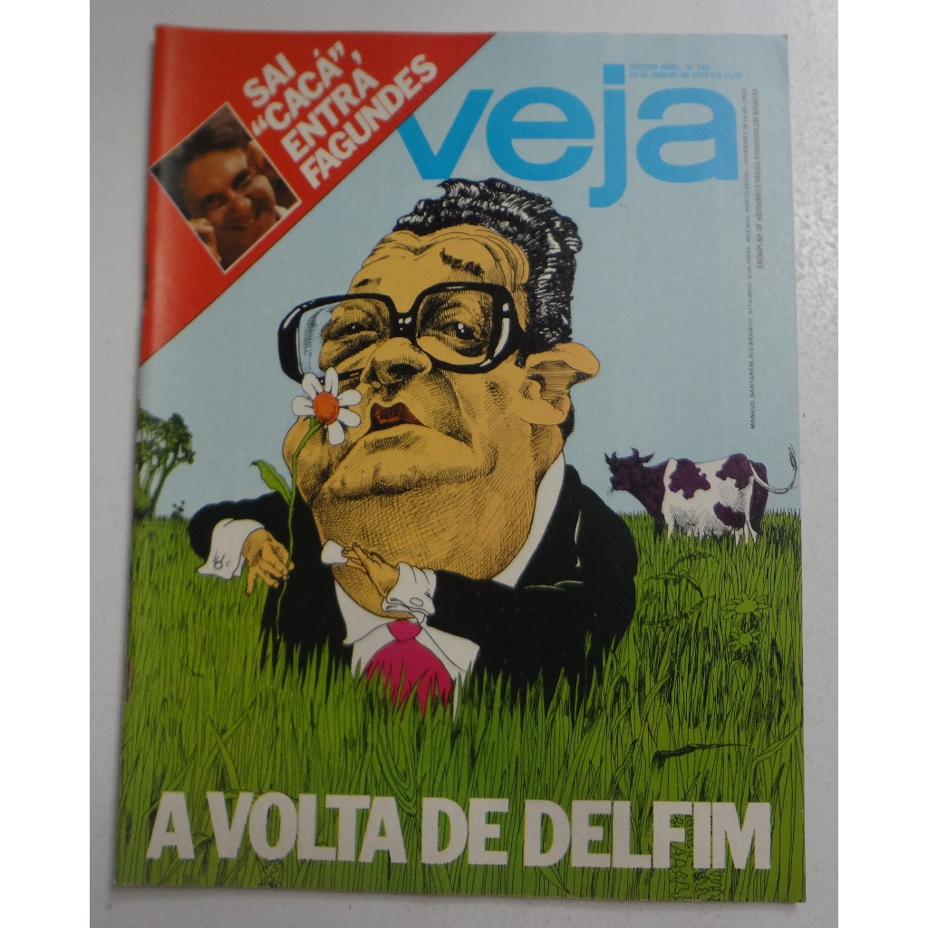 Revista Veja a volta de delfim N° 542