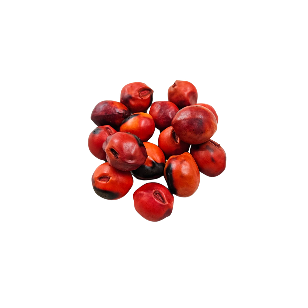 Fava De Exu - Umbanda E Candomblé