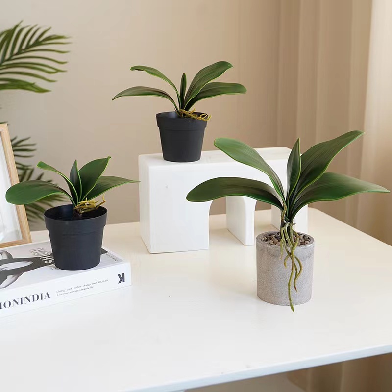 Folhas de Orquídeas Artificial Silicone Decoração - TO4037-9