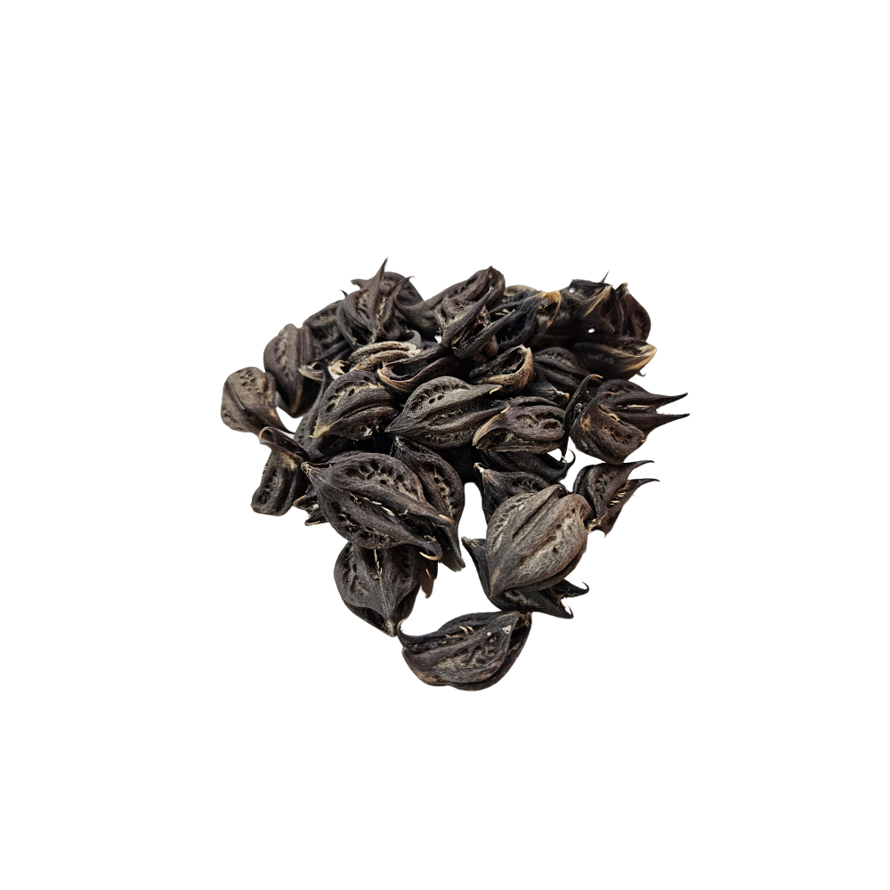 Fava Garra De Exu E Pomba Gira - Umbanda e Candomblé