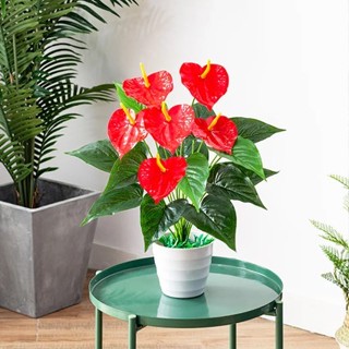 Buquê de Antúrio Flores e Plantas Artificiais - CY3936 em Oferta na Shopee