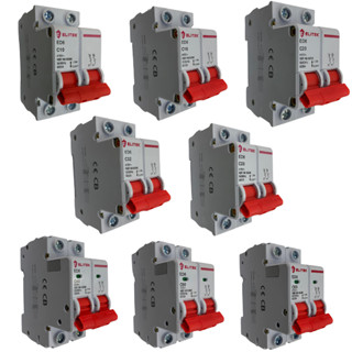 Disjuntor Duplo Bipolar Bifasico de 06a, 10a, 16a, 20a, 25a, 32a, 40a, 50a, 63a, 70a