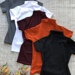 Blusa feminina de gola alta canelada manga curta varias cores