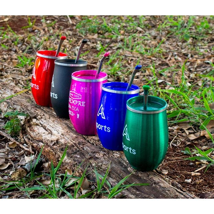 Kit Copo Cuia Tereré Caribe Aports Bomba Inox 360ml
