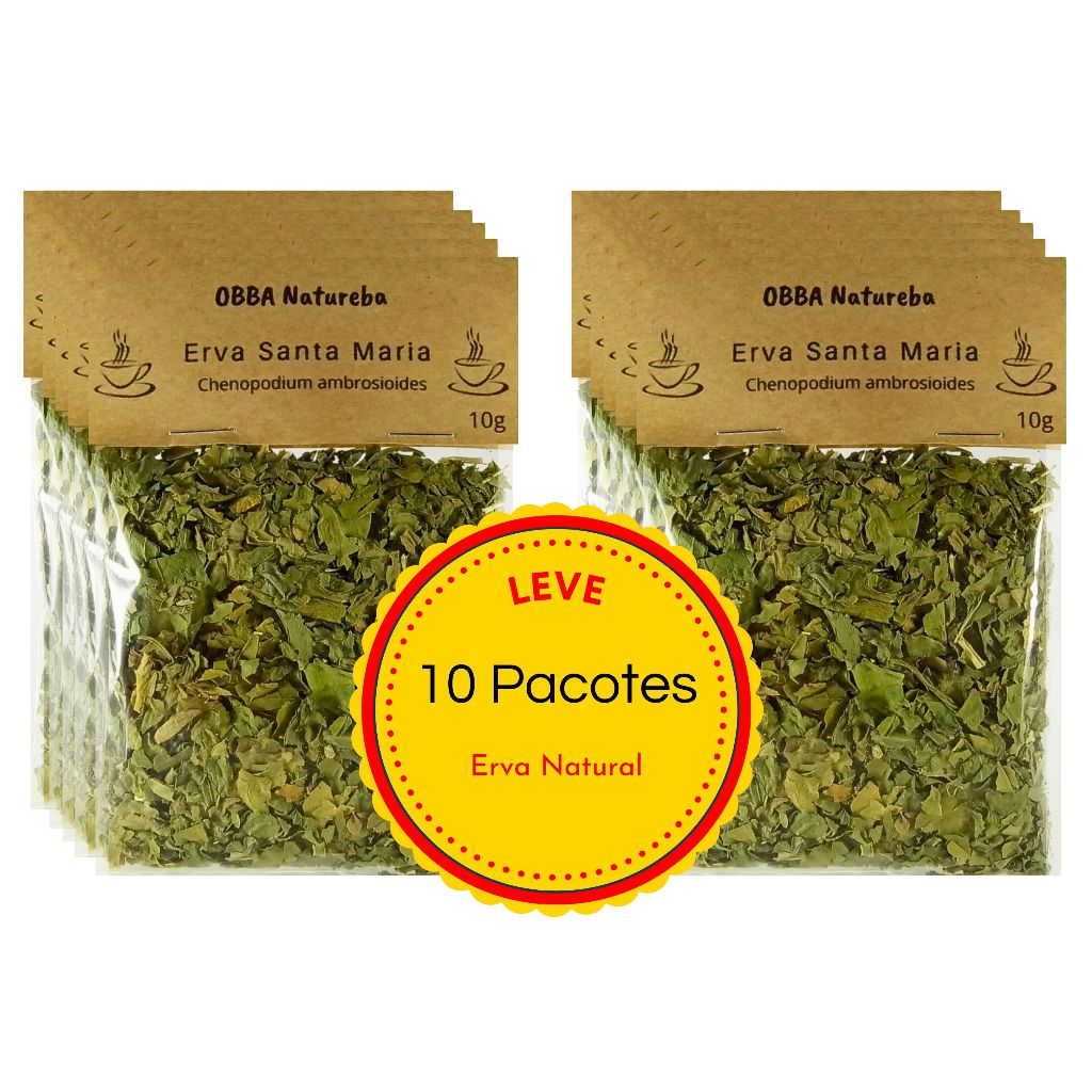 10 Pacotes Chá de Erva de Santa Maria | Alta Qualidade | Mastruz para Cha Envio Imediato em Oferta na Shopee