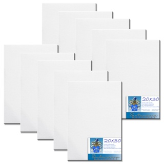 Kit 10 Telas De Pintura 20x30 Prontas Para Uso 100% Algodão em Oferta na Shopee