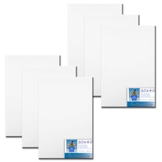 Kit 06 Telas De Pintura 30x40 Prontas Para Uso 100% Algodão em Oferta na Shopee