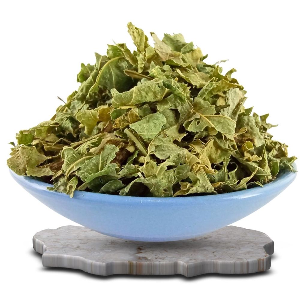 Chá de Guiné Folhas | Alta Qualidade | 100% Natural para Cha Envio Imediato - 50g em Oferta na Shopee