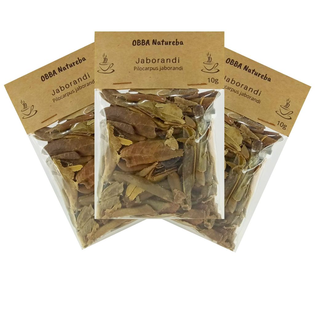 Kit 3Chá Jaborandi Folhas Erva Natural Jaborandi-Verdadeiro