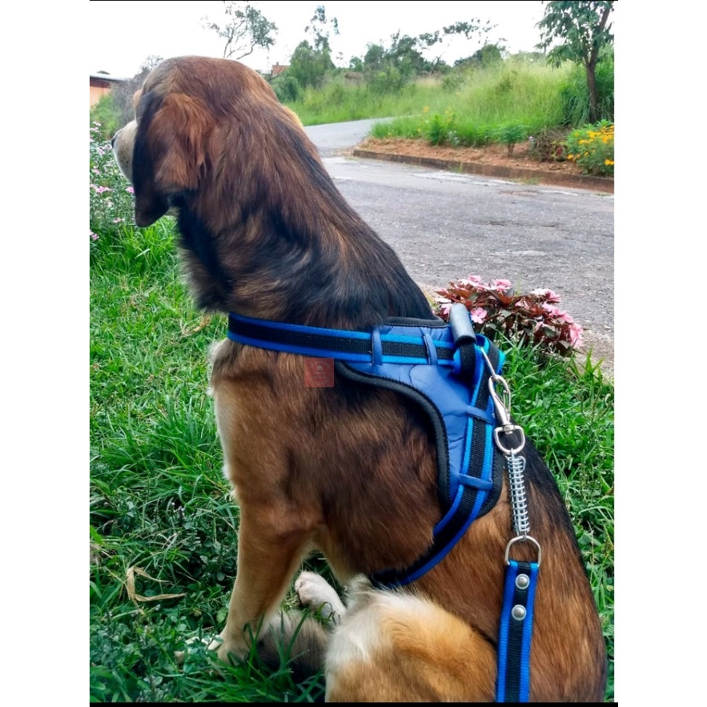 Coleira Peitoral Para Cachorro Dog Cães Médio Grande Pastor Alemão Guia Resistente Da Fábrica