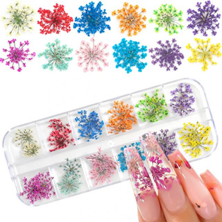 12 Flores Secas Encapsulamento Decoração Unhas De Gel