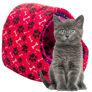 Casinha Toca Gato Cachorro Iglu Caminha Toca PROMOÇAO