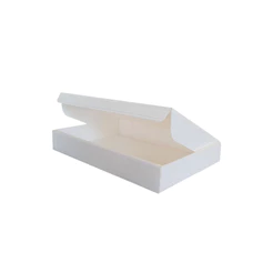 10 Unidades Caixas BRANCA De Papelão 30x25x5 Branco Envios Salgados Montável