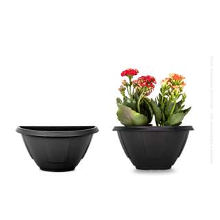 Kit 5 Vaso De Parede 1 Lt Meia Lua Jardim Vertical Plantas Decorativa em Oferta na Shopee