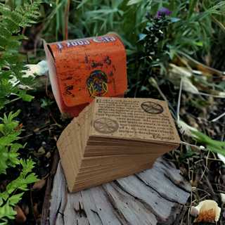 Baú de Mensagens Inspiradoras Baú Mágico Madame Nova Era em Oferta na Shopee