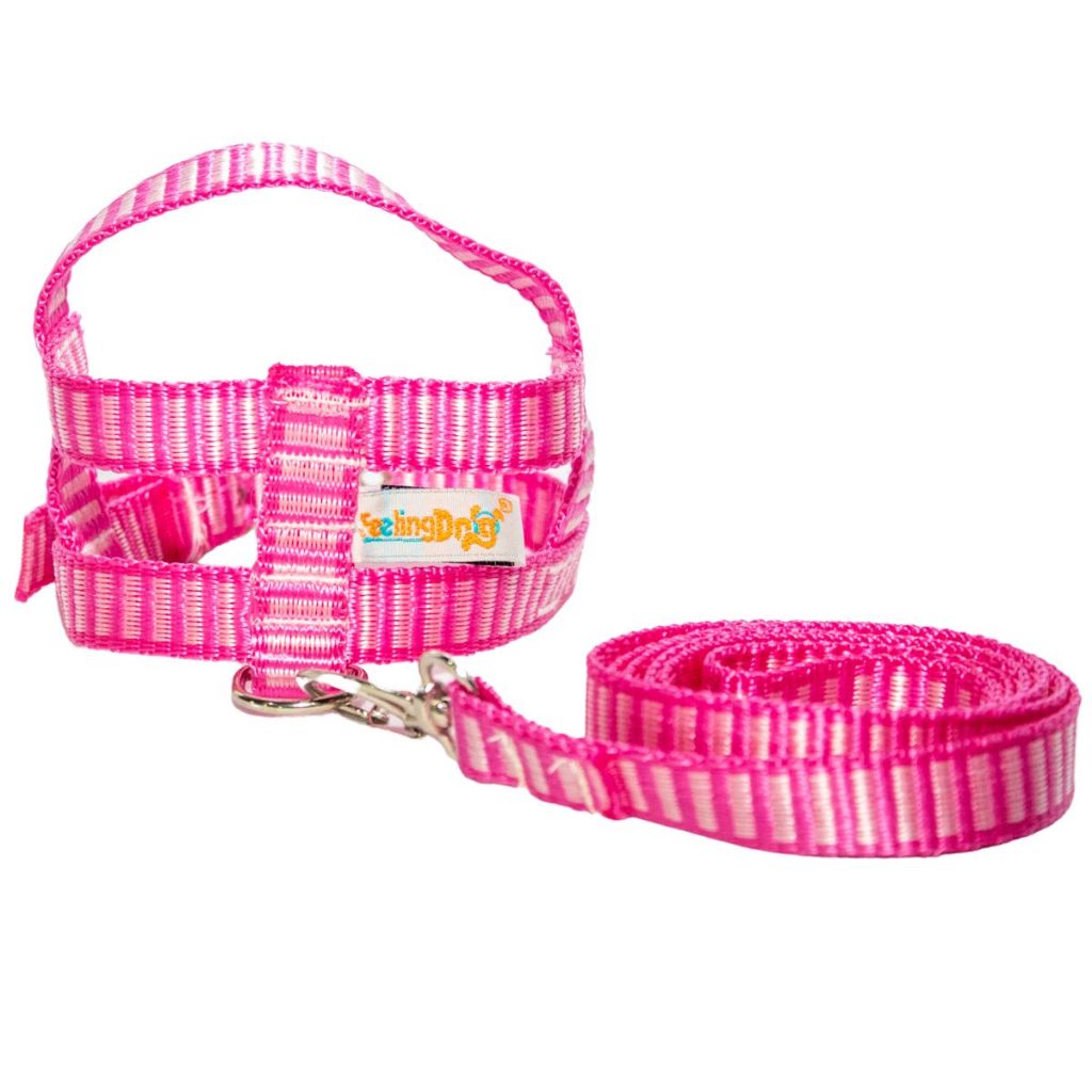 Guia E Peitoral Listrado/ Coleira Porte Pequeno Para Cachorro Gato Passeio Resistente Pet
