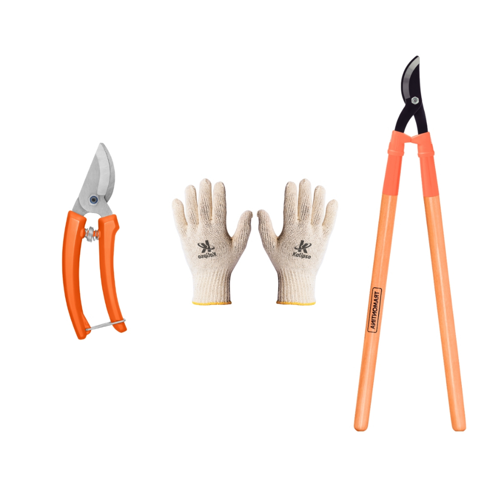 Kit Tesourao De Poda 60cm Bypass + Tesoura de Poda Tramontina E Luva Tricotada Pigmentada