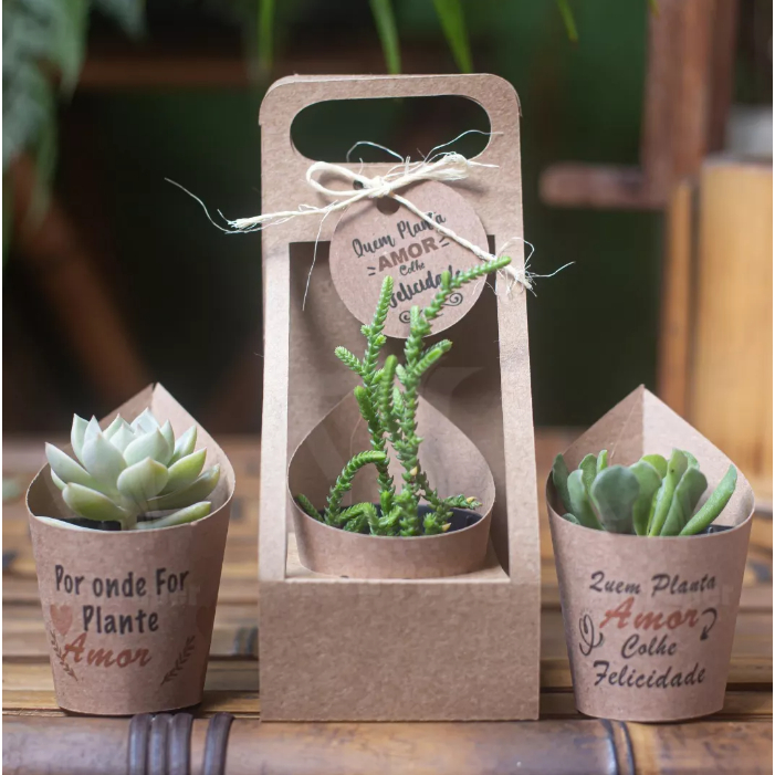 Frases Suculentas: Onde Comprar | BuscaProdutos